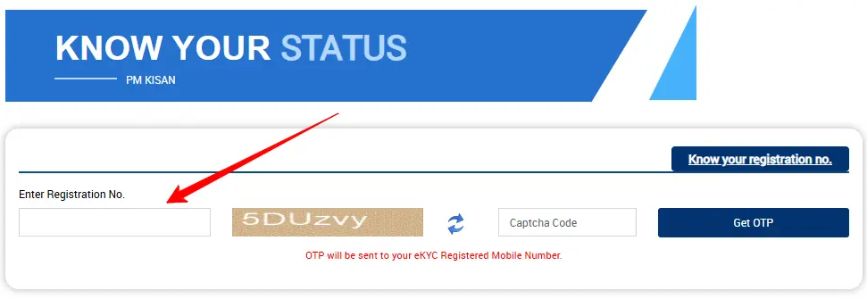 enter-registration-number-screen-shot-portal